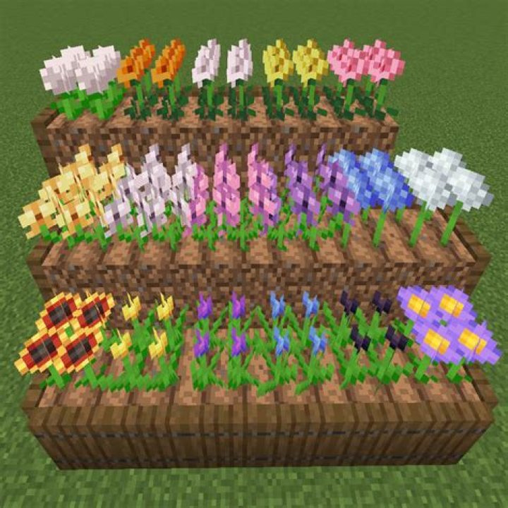 Bloom minecraft how to play