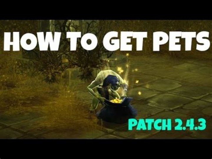 Diablo 3 how to use pets