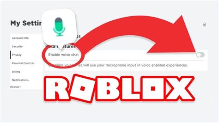 How do i turn on voice chat in roblox