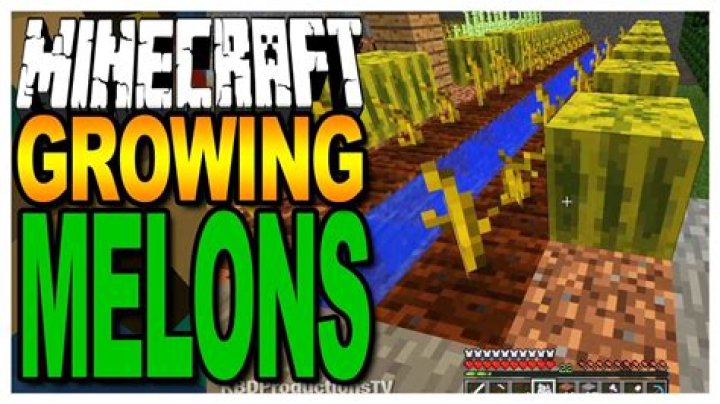 How do melons grow in minecraft
