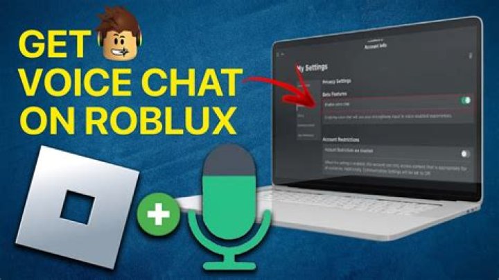 How do u use voice chat in roblox