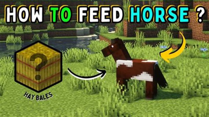 How do you feed a horse in minecraft