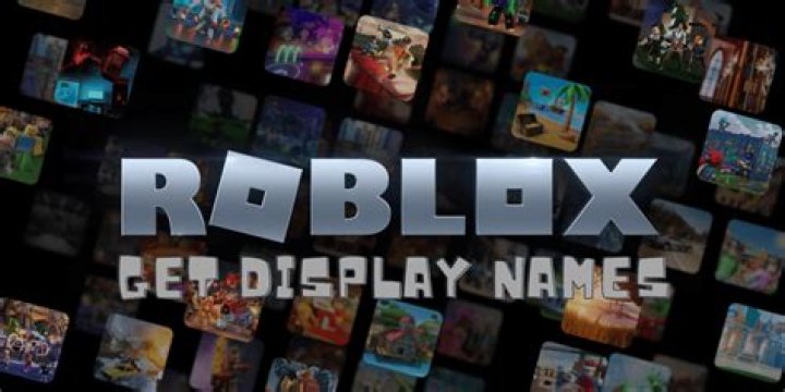 How do you get display names in roblox