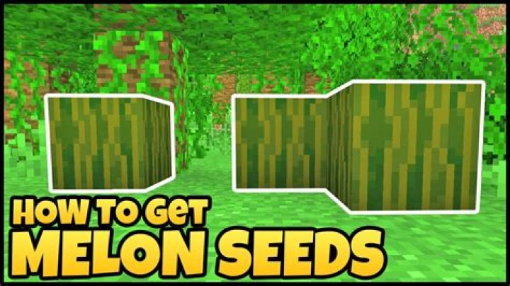How do you get melon seeds in minecraft