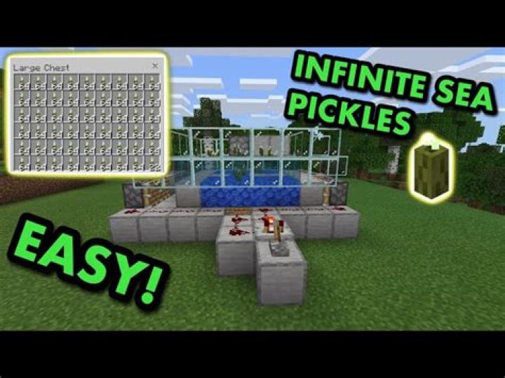 How do you get sea pickles in minecraft