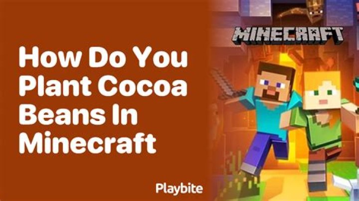 How do you plant cocoa beans in minecraft