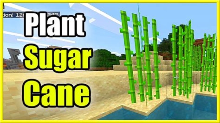 How do you plant sugar cane in minecraft