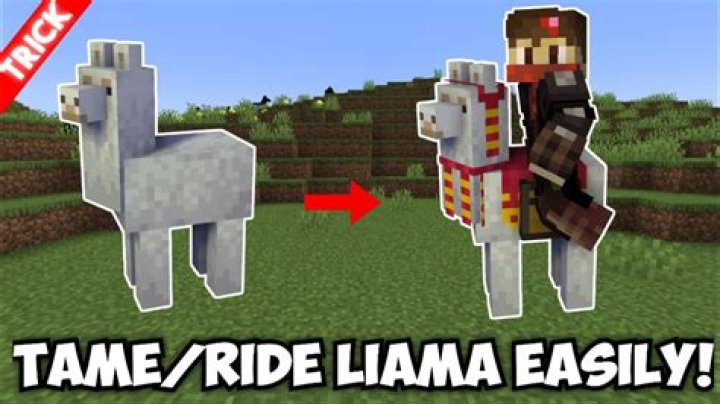 How do you ride a llama in minecraft