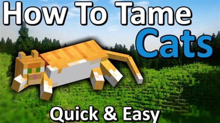 How do you tame a cat in minecraft