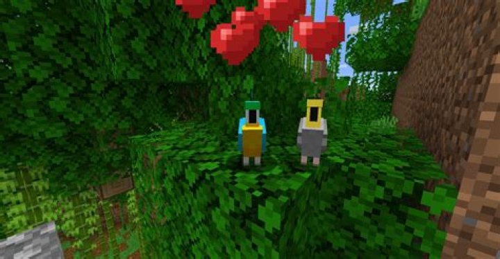 How do you tame a parrot in minecraft