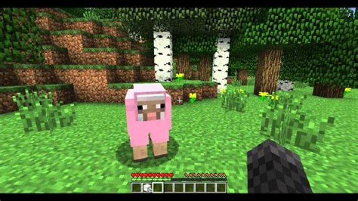 How do you tame a sheep in minecraft