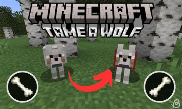How do you tame a wolf in minecraft