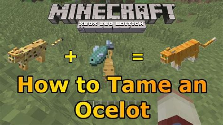 How do you tame an ocelot in minecraft