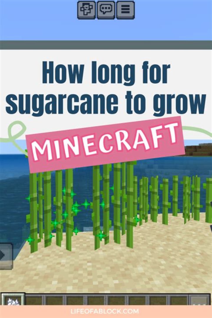 How long does sugarcane take to grow minecraft