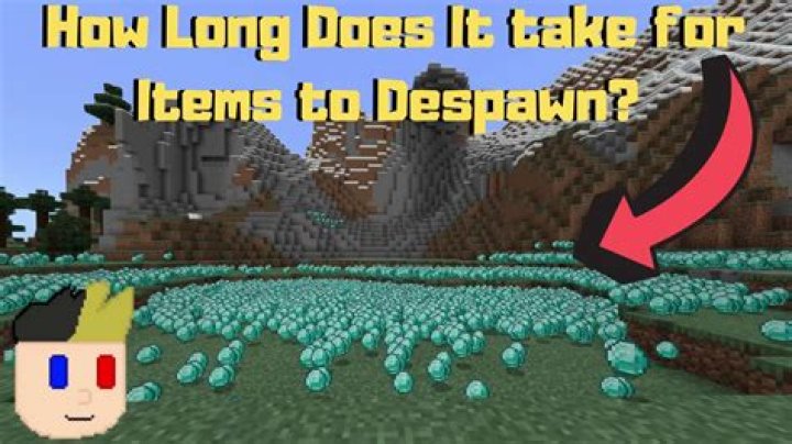 How long until items despawn minecraft