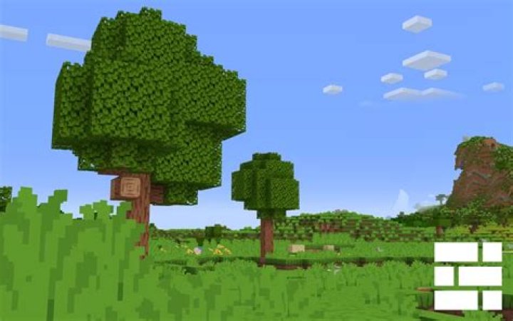 How many bits is minecraft