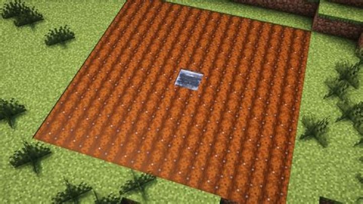 How many blocks does water hydrate in minecraft