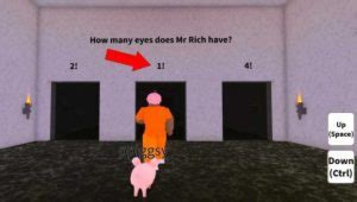 How many eyes does mr rich have in roblox