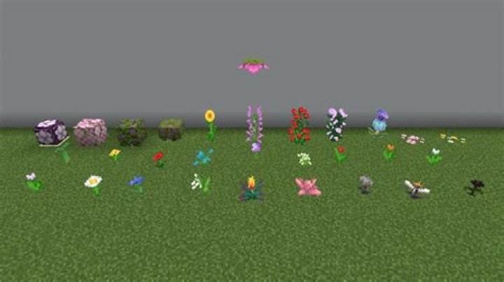 How many minecraft flowers are there