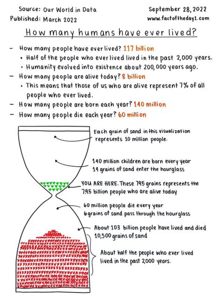 How many people have minecraft