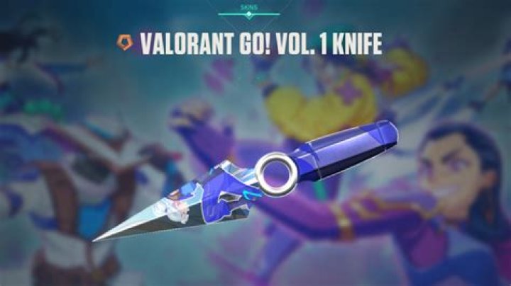 How much is the valorant go knife
