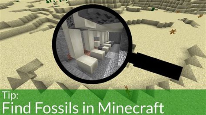 How rare are fossils in minecraft