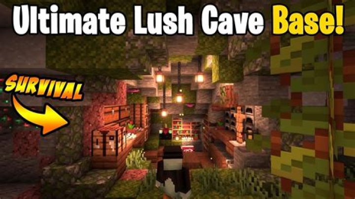 How rare are lush caves minecraft