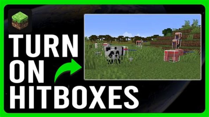 How to activate hitboxes in minecraft