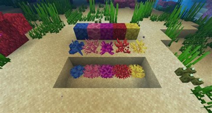 How to break coral in minecraft