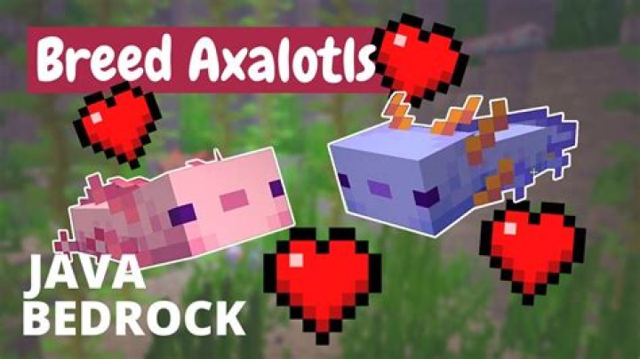 How to breed axolotls minecraft