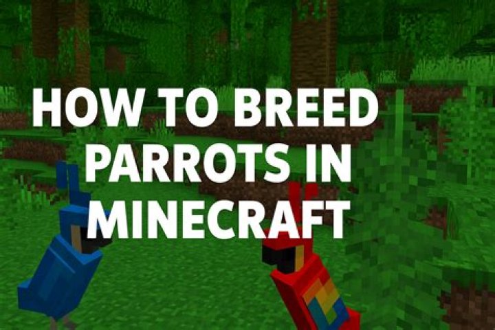 How to breed birds minecraft