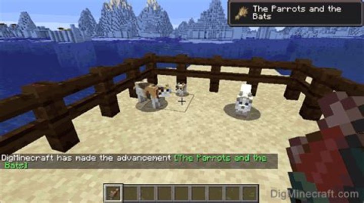 How to breed cats in minecraft
