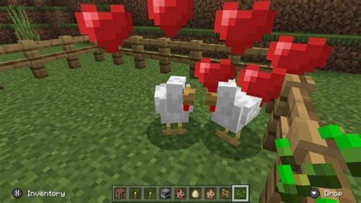How to breed chickens minecraft