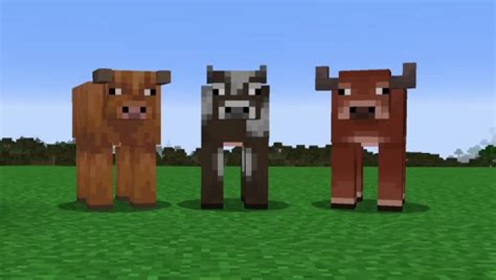 How to breed cow in minecraft