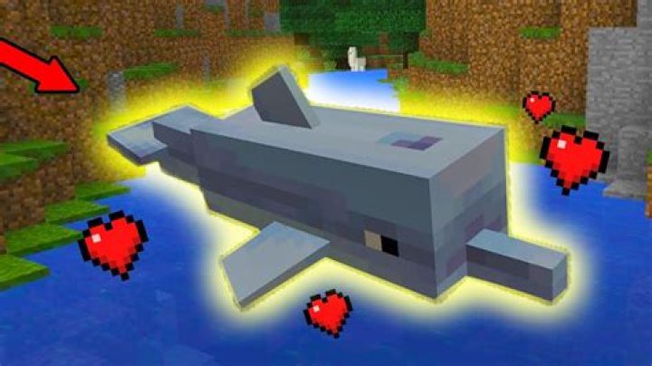 How to breed dolphins in minecraft