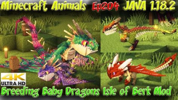 How to breed dragons in minecraft