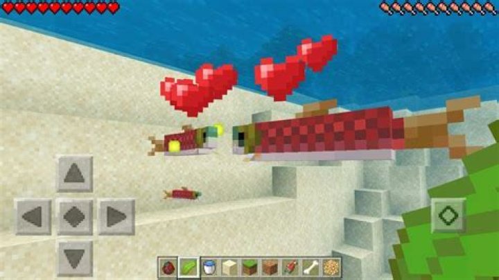 How to breed fish in minecraft