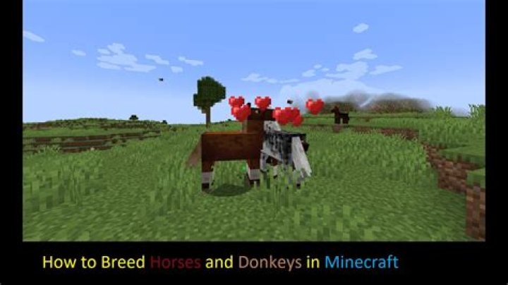 How to breed horses and donkeys in minecraft