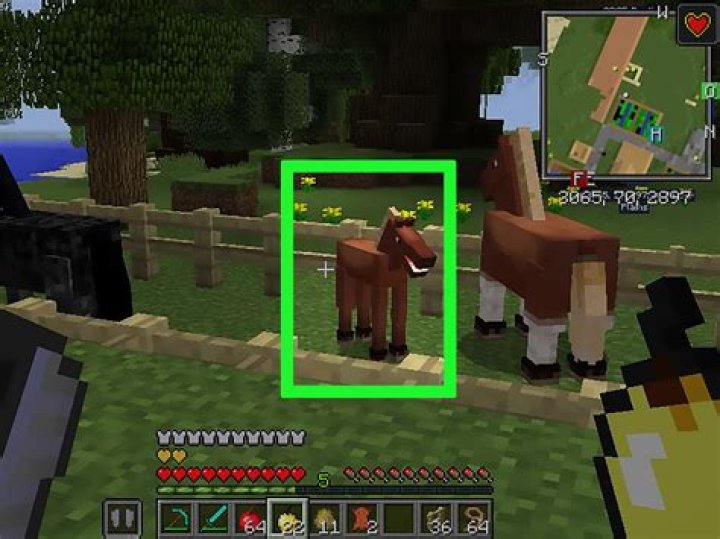 How to breed horses minecraft