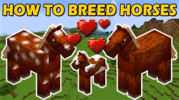 How to breed minecraft horses