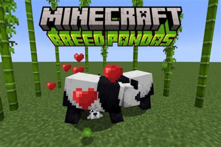 How to breed pandas minecraft
