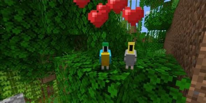 How to breed parrots minecraft