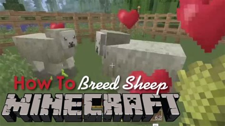 How to breed sheep minecraft