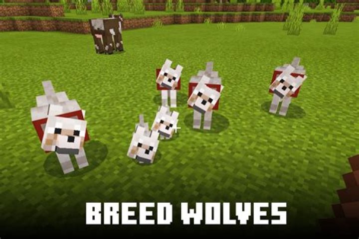 How to breed wolves in minecraft