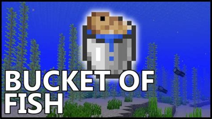 How to catch fish minecraft