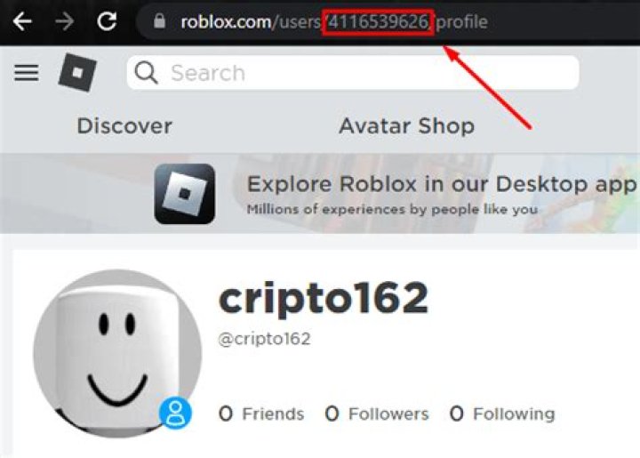 How to check roblox player id