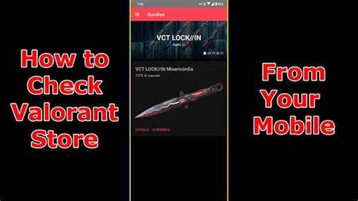 How to check valorant elo