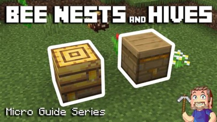 How to collect beehive minecraft