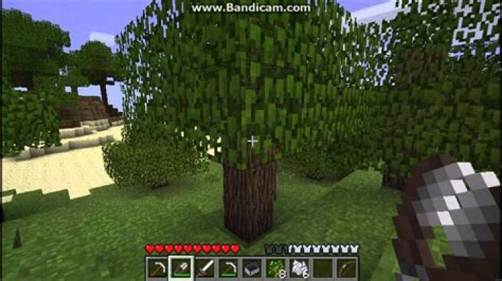 How to collect leaves in minecraft