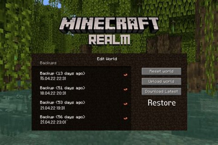 How to download minecraft realm world